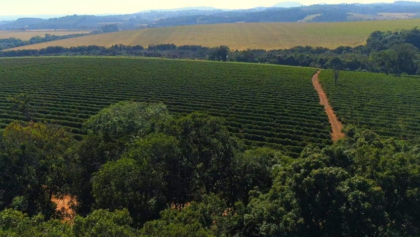 Coridor verde pentru fermierii care au terenuri agricole după traseul Râbnița-Tiraspol